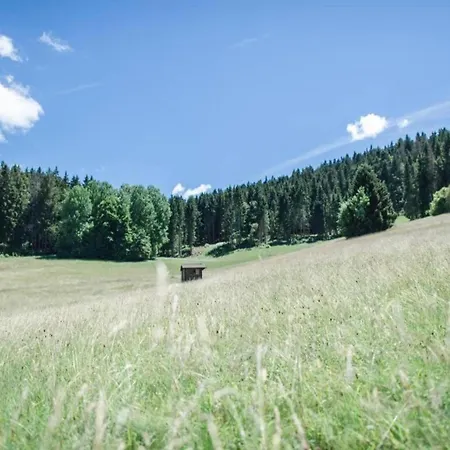 In The Black Forest With Garden