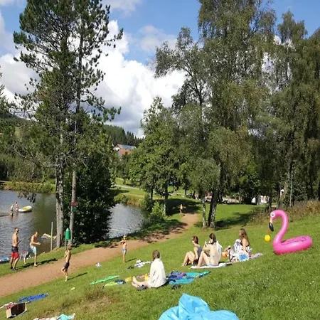 In The Black Forest With Garden
