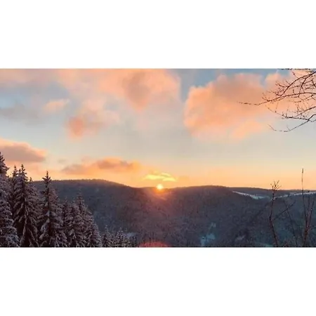In The Black Forest With Garden