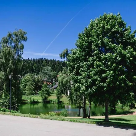 In The Black Forest With Garden