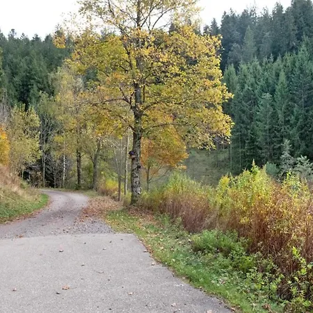 Apartamento In The Black Forest With Garden *